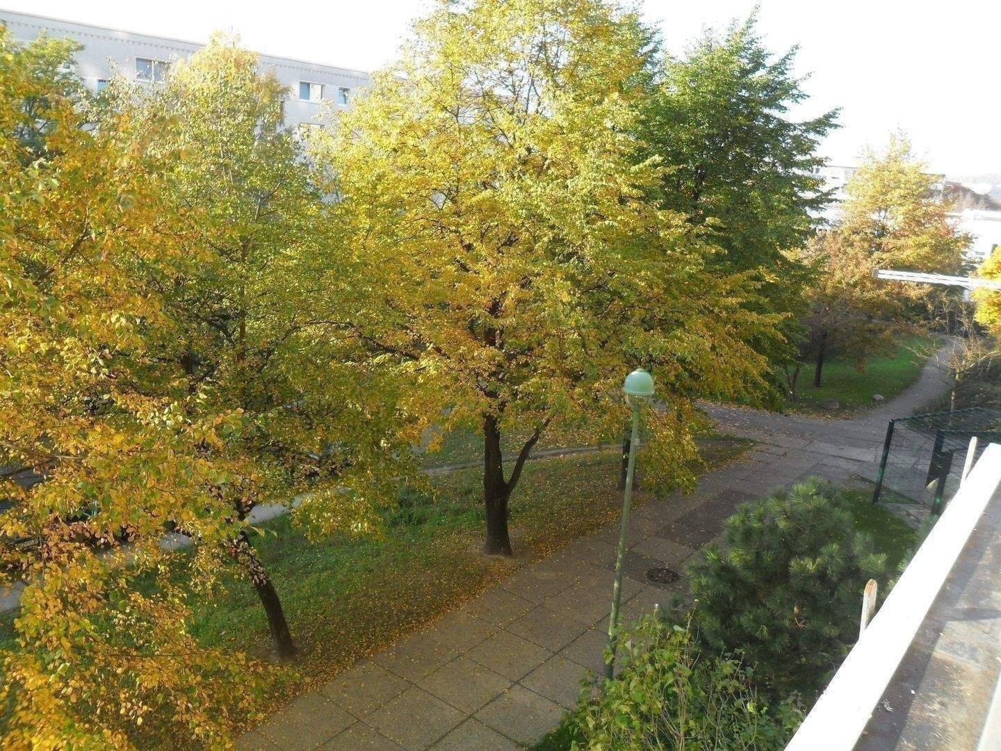 Kapitalanlage, keine Eigennutzung! Vermietete 4-Zi-Whg! Gut geschnitten, Balkon, Hochhaus in Kaulsdof