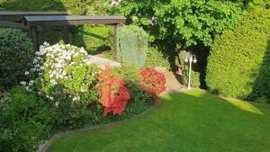 Freistehendes Einfamilienhaus mit Einliegerwohnung, Pool und großem Garten in Remscheid Süd – 42859 Remscheid – Vorschaubild 8