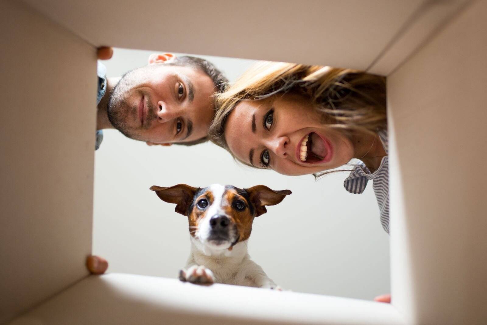 Ihr neues Einfamilienhaus in Euskirchen - individuell geplant – Euskirchen – Vorschaubild 6