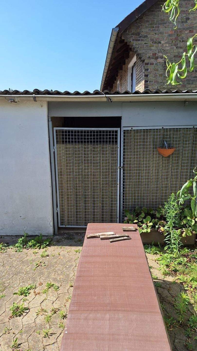 "Schnäppchenpreis" Stark sanierungsbedürftiges 1-FH in Braunschw./Broitzem m. schmalen, sehr schönem Grundstück inkl. Anbau u.Garagen – Braunschweig – Vorschaubild 6