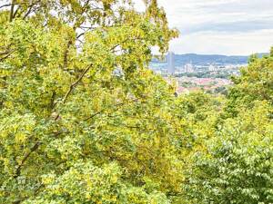 3-Raum-Wohnung mit guter Anbindung, herrlichem Ausblick und günstigem Preis (Kaufpreisfaktor 18,62!) – 7743 Jena – Vorschaubild 4
