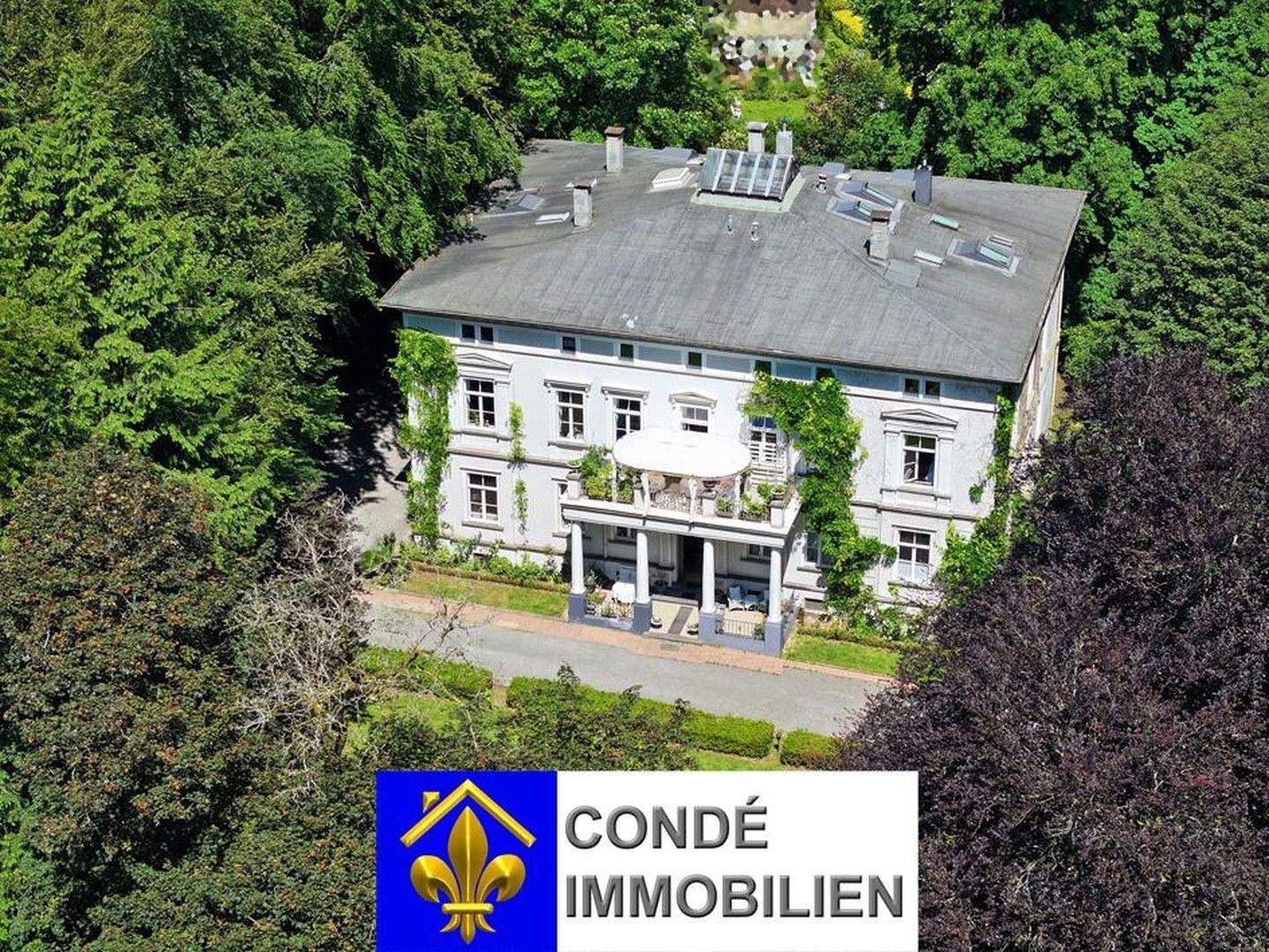 Villa im klassizistischen Stil mit großer Parkanlage zu verkaufen. Mehrfamilienhaus, Villa im Park – Radevormwald – Bild 1 von 9