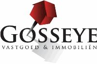 Immo Gosseye logo