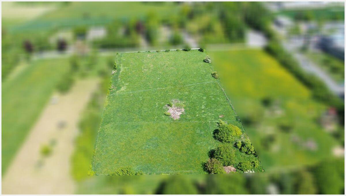 Einzigartiger Rückzugsort mit vielen Nutzungsmöglichkeiten in toller Lage von Grünberg – Grünberg – Vorschaubild 9