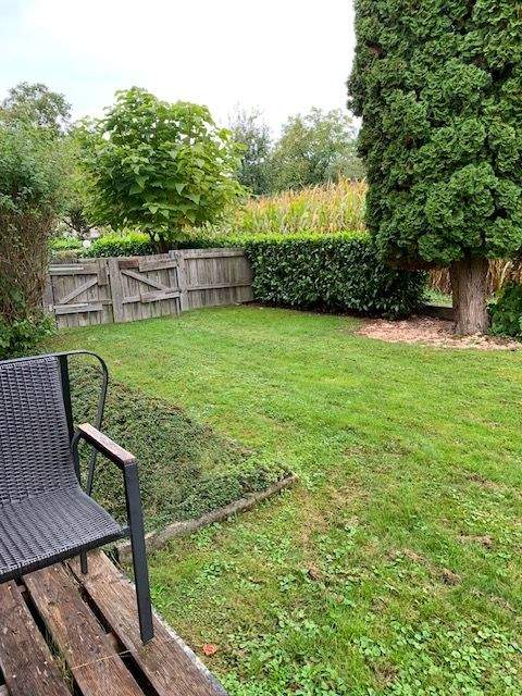 freundliche 2-Zi. EG-Whg. mit Terrasse/Garten + Carport für max. 1 Person – Kelheim – Vorschaubild 2