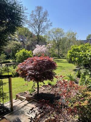 Schöne Eigentumswohnung mit Terrasse und kleinem Gartenanteil am Schloßpark Elbroich – 40589 Düsseldorf – Vorschaubild 7