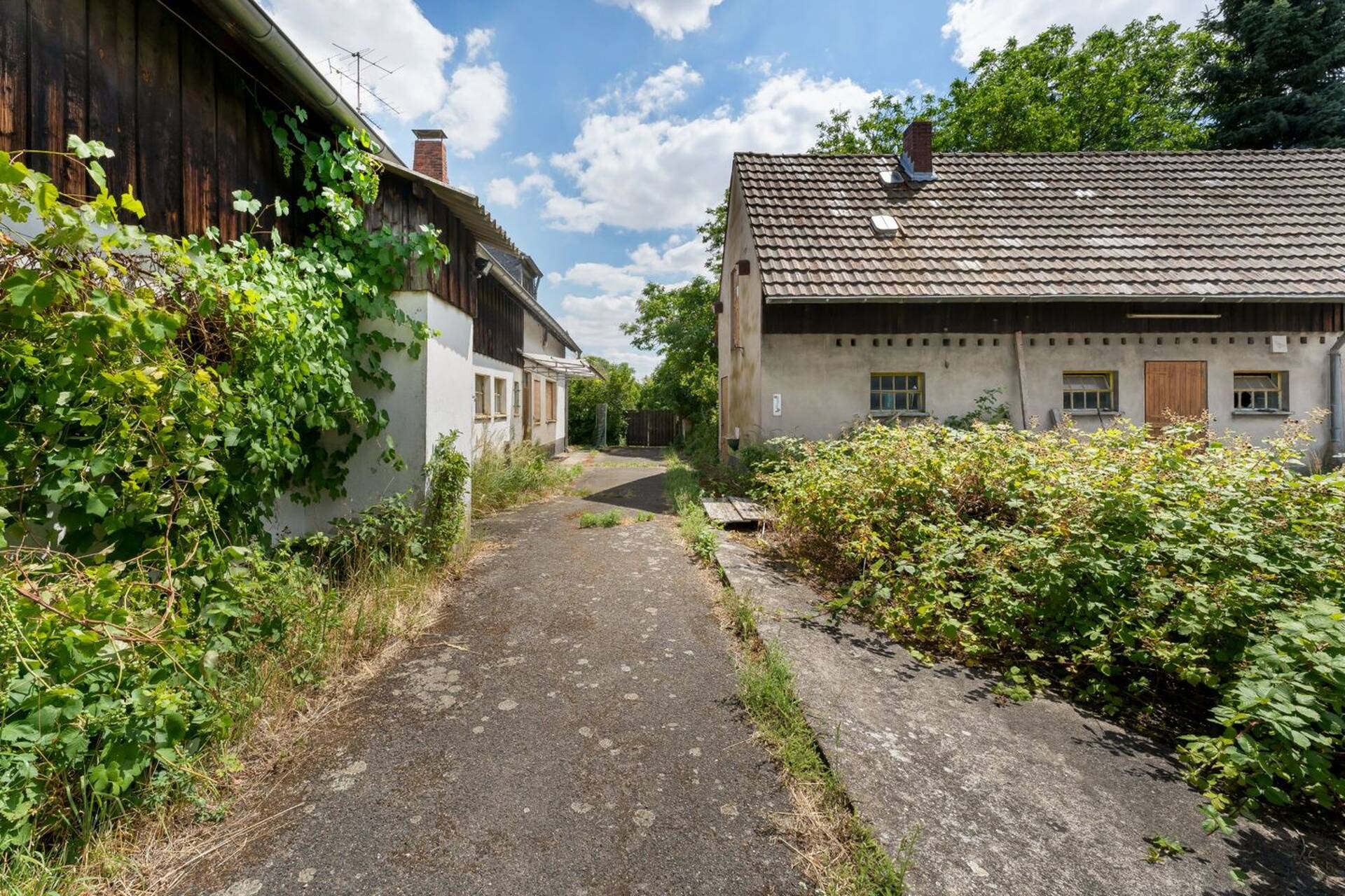 Haus in 50999 Köln mit 386,36 m² kaufen