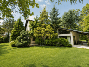 Elegantes Villenanwesen in unverbaubarer und ruhiger Waldrandlage von Erlangen – 91056 Erlangen – Vorschaubild 1