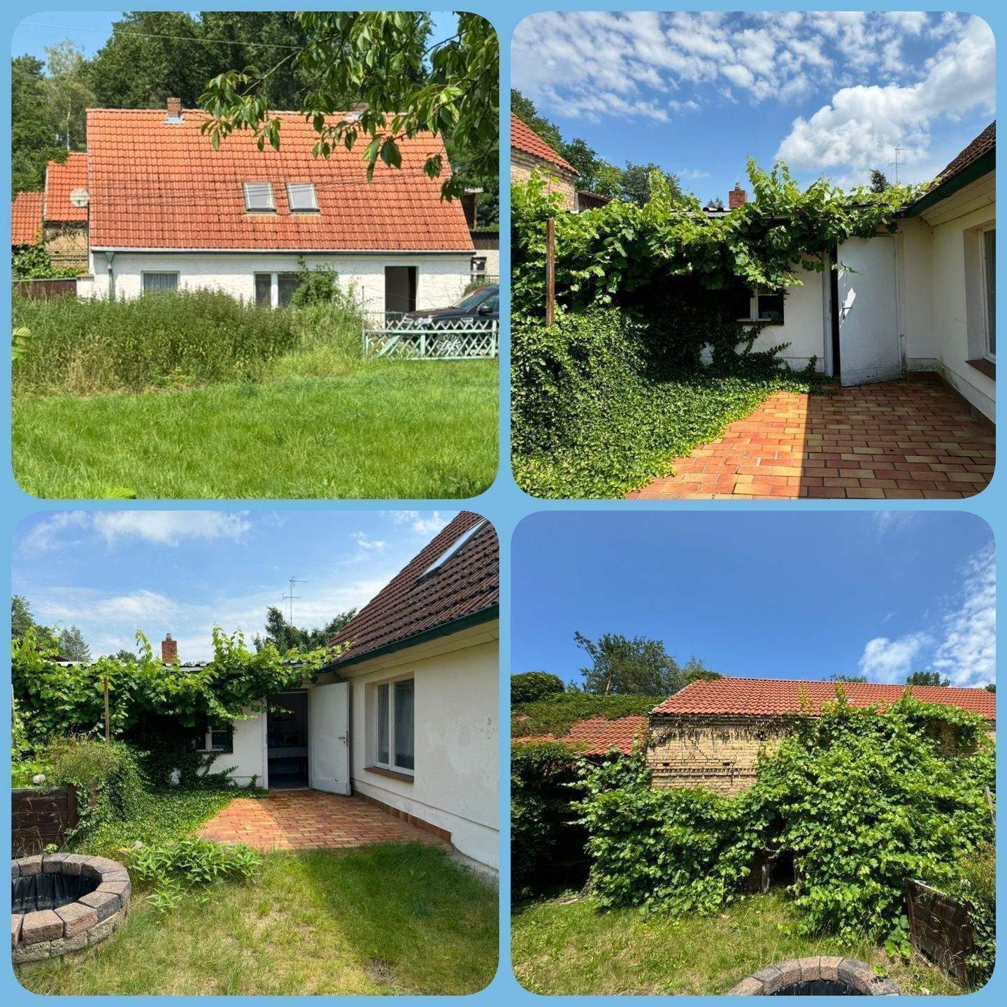 Heisser Preis: Bauernhaus, Ferienhaus mit Wiesen unweit Gudelacksee bei Lindow – Lindow (Mark) – Vorschaubild 4