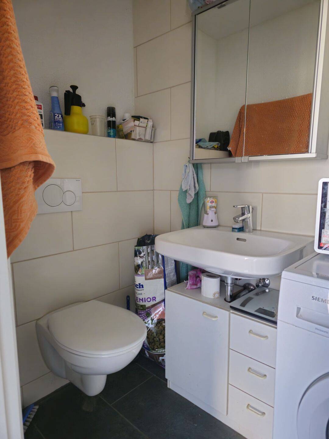 Kapitalanlage oder Mehrgenerationenhaus? Hier ist beides möglich. – Villingendorf – Vorschaubild 9
