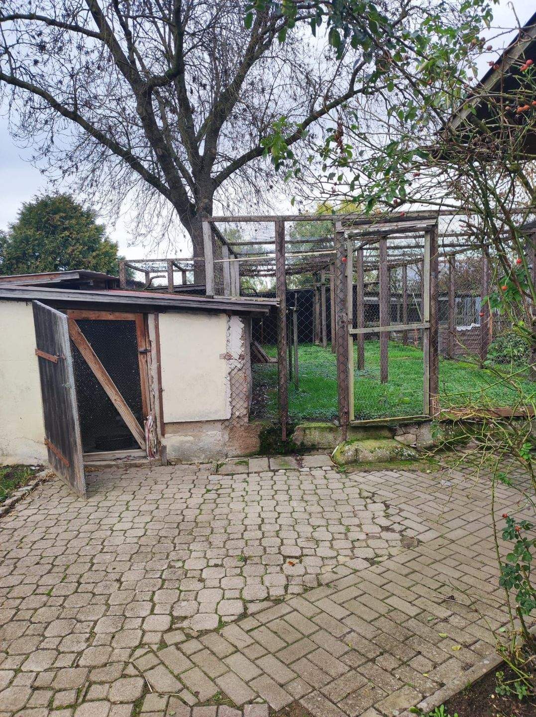 Ein- oder Zweifamilienhaus mit großem Garten in schöner Lage – Hohenselchow-Groß Pinnow – Vorschaubild 7