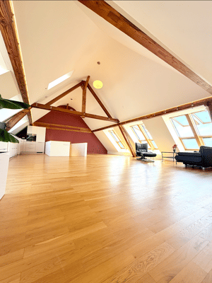 EINZIGARTIG - Altbau-Traum mit großer Dachterrasse und direktem Blick auf Ruhmeshalle / Bavaria – 80336 München – Vorschaubild 4
