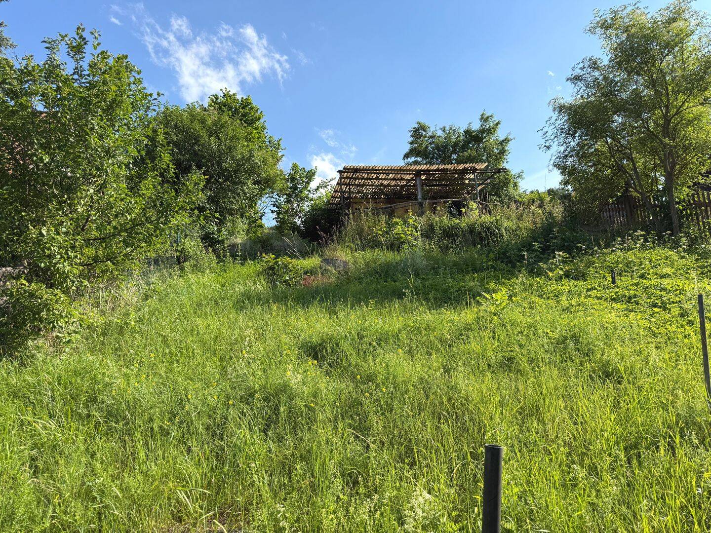 Traumhaft schönes Wochenendhaus auf einem Südhang-Grundstück in Jena-Leutra zum Verkauf – Jena – Vorschaubild 7