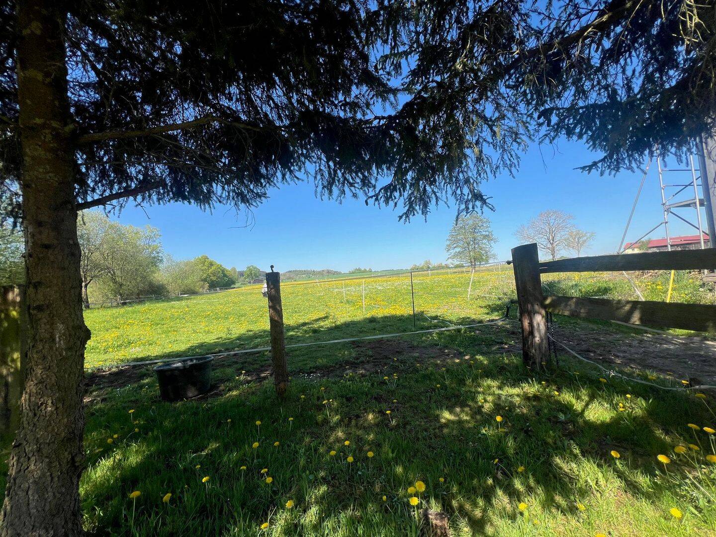 Ein Paradies für Tiere, Romantischer Reiterhof/ Bauernhof bei Schnelldorf – Schnelldorf – Vorschaubild 3