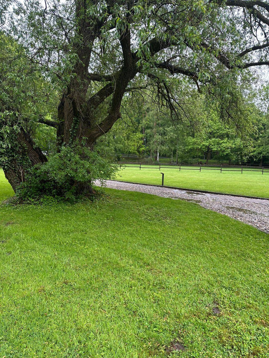 Seltene Gelegenheit in Pye: Bauplatz mit Baugenehmigung & flexiblem Ererbsmodell – Osnabrück – Vorschaubild 8