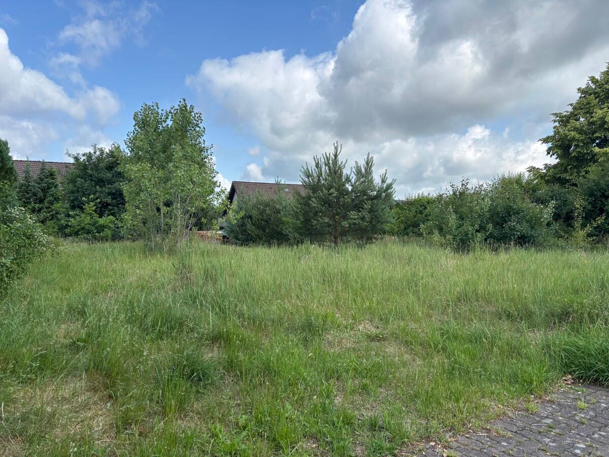 KfW 40+ Mehrfamilienhaus mit höchster Energieeffizienz! QNG-Sonderabschreibung für Investoren! – Augustdorf – Vorschaubild 3