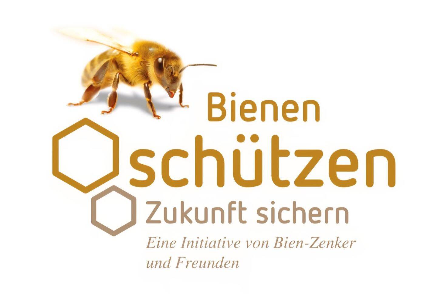Platz für alle! Exklusiver lichtdurchfluteter Neubau aus dem Hause BIEN ZENKER inkl. Baugrundstück – Bacharach – Vorschaubild 5