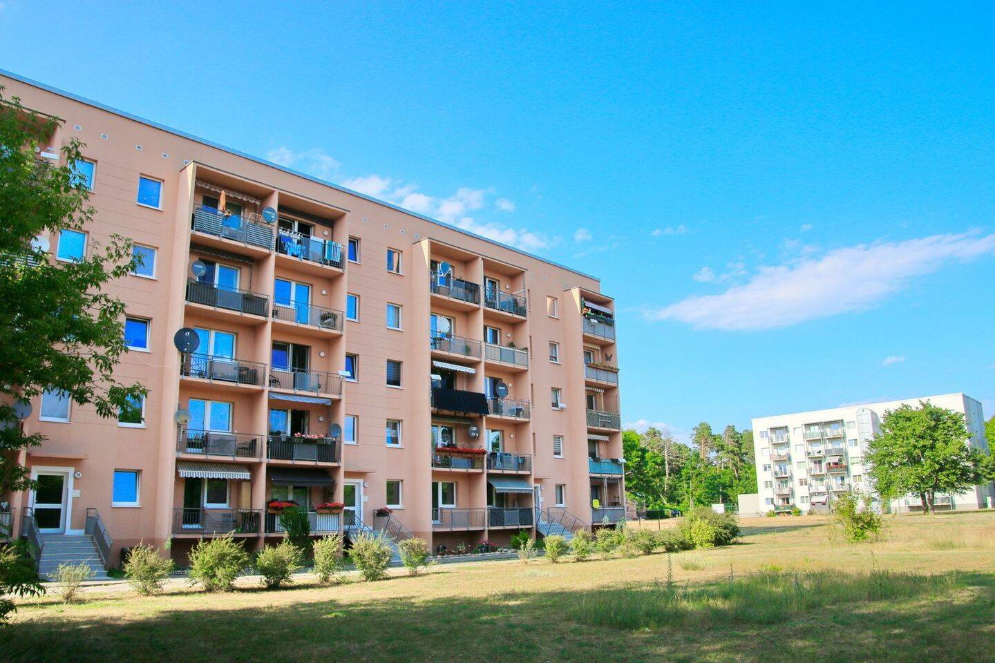 Waldesruh - Lichtdurchflutete Wohnung mit Balkon – Zossen – Vorschaubild 7
