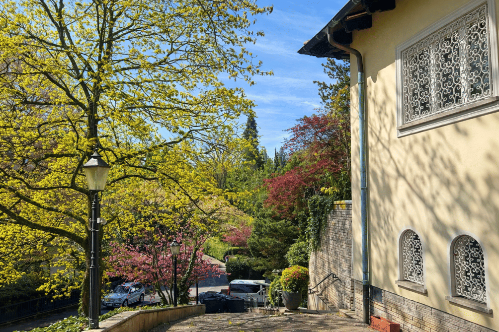 Panoramavilla in Bestlage von Baden-Baden – Baden-Baden – Vorschaubild 5