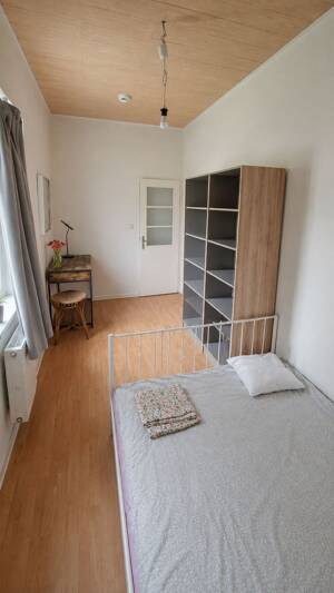 Frauen Studenten Wg Zimmer in uni nähe Dresden