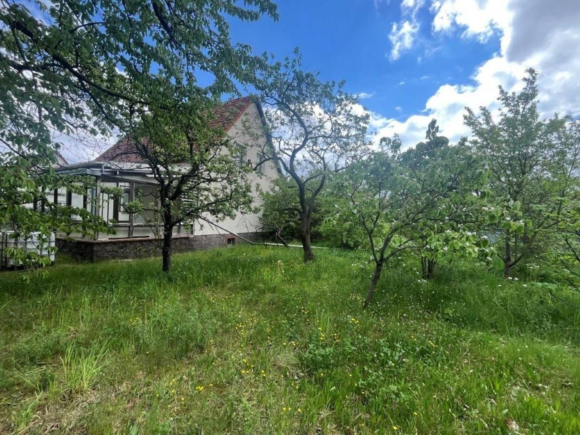 Haus in 01968 Senftenberg OT Sedlitz mit 137 m² kaufen