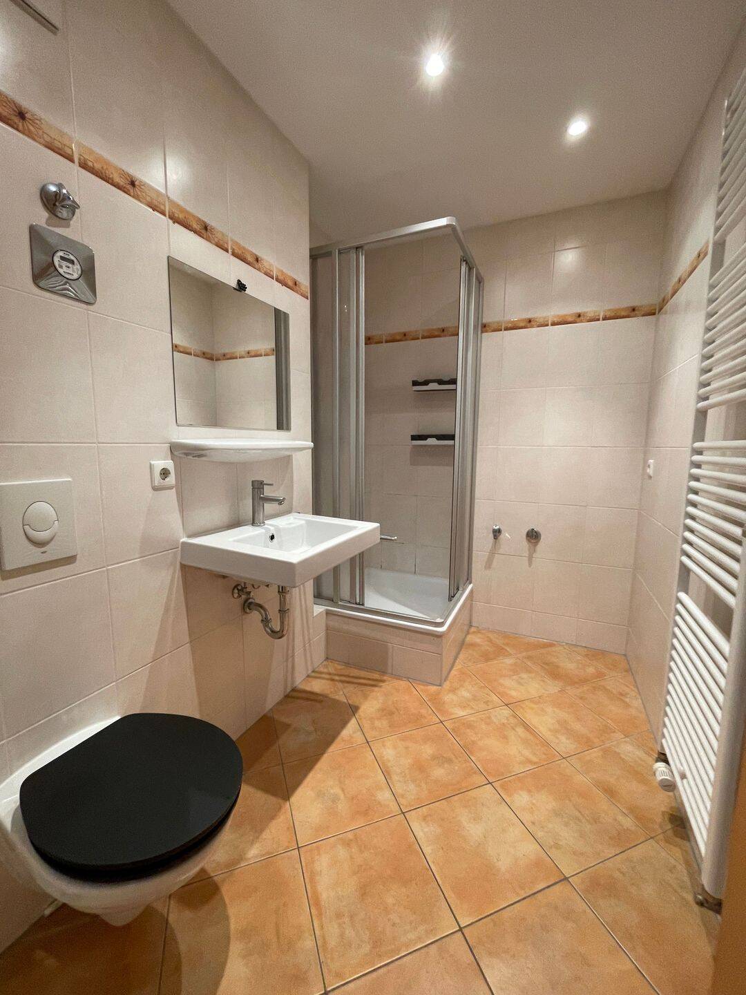 Hoferstr. **** Balkon, Dusche und Laminat **** – Chemnitz – Vorschaubild 9