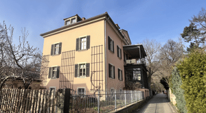 Achtung Anleger !! Sanierte Dachgeschosswohnung, 3-Zi.-ETW in spektakulärer Villa, Blick direkt in die Weinberge !!