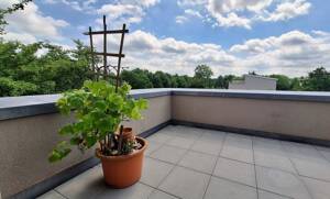 Oberneuland: Neuwertiges Reiheneckhaus mit Grünblick, Dachterrasse - provisionsfrei – 28355 Bremen – Vorschaubild 6
