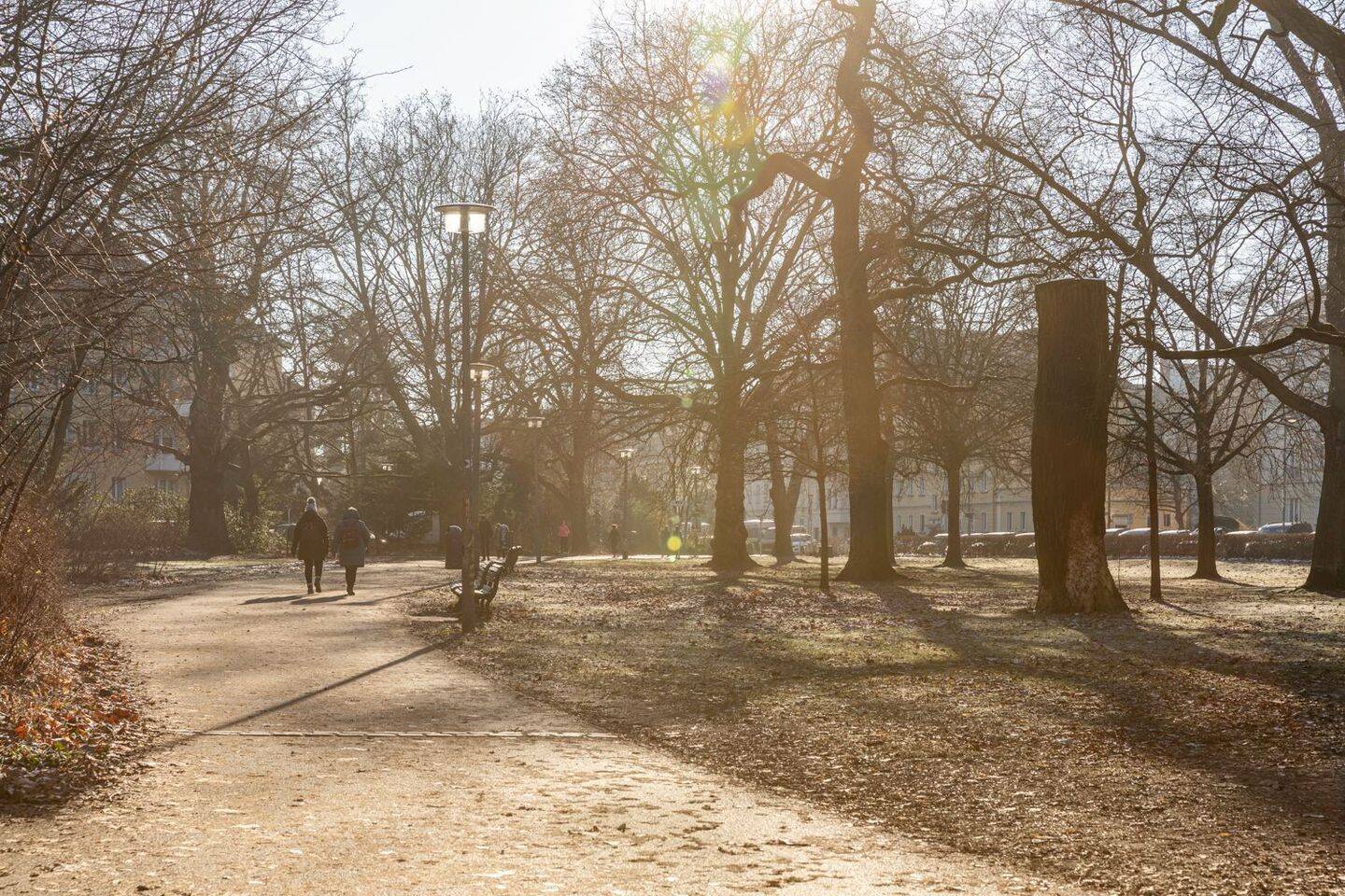 Viel Raum, Licht und Komfort - für jeden Lebensentwurf – Berlin – Vorschaubild 9