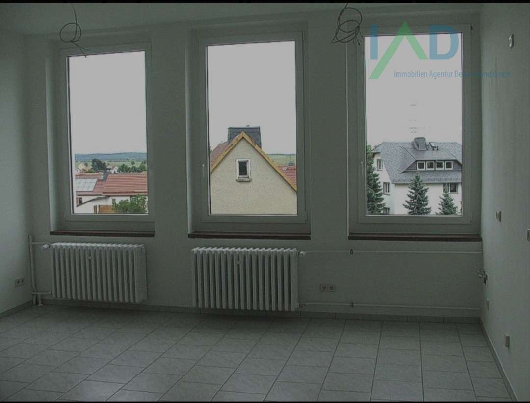 Großes Wohn- und Gewerbeobjekt – Harth-Pöllnitz – Vorschaubild 2