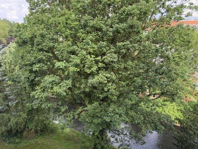 Willst Du hoch hinaus? – Herford – Vorschaubild 7