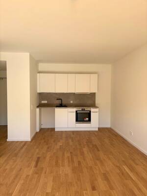 Modernes 2-Zimmer-Apartment mit Balkon in Hamburg – 22045 Hamburg – Vorschaubild 5