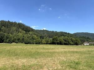 Seltene Lage, seltene Kombination - in beliebter, ruhiger und idyllischer Lage von Günterstal – 79100 Freiburg im Breisgau – Vorschaubild 5
