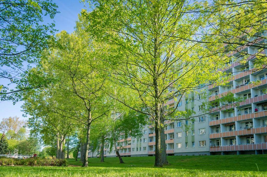 Ab Herbst 2026 ins gemeinsame Wohnglück starten – Chemnitz – Vorschaubild 4