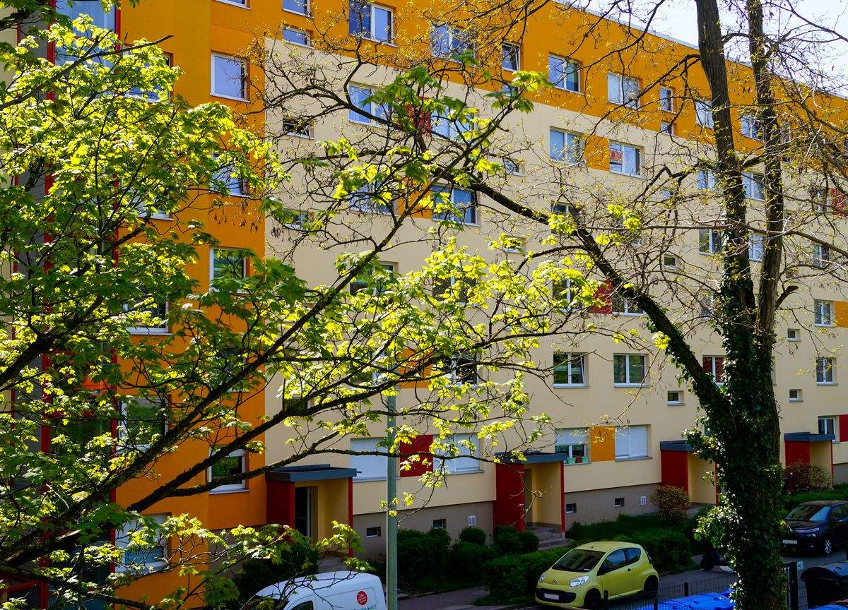 Lust auf Frühling? 3 Zimmer nahe Stadtpark – Chemnitz – Vorschaubild 9