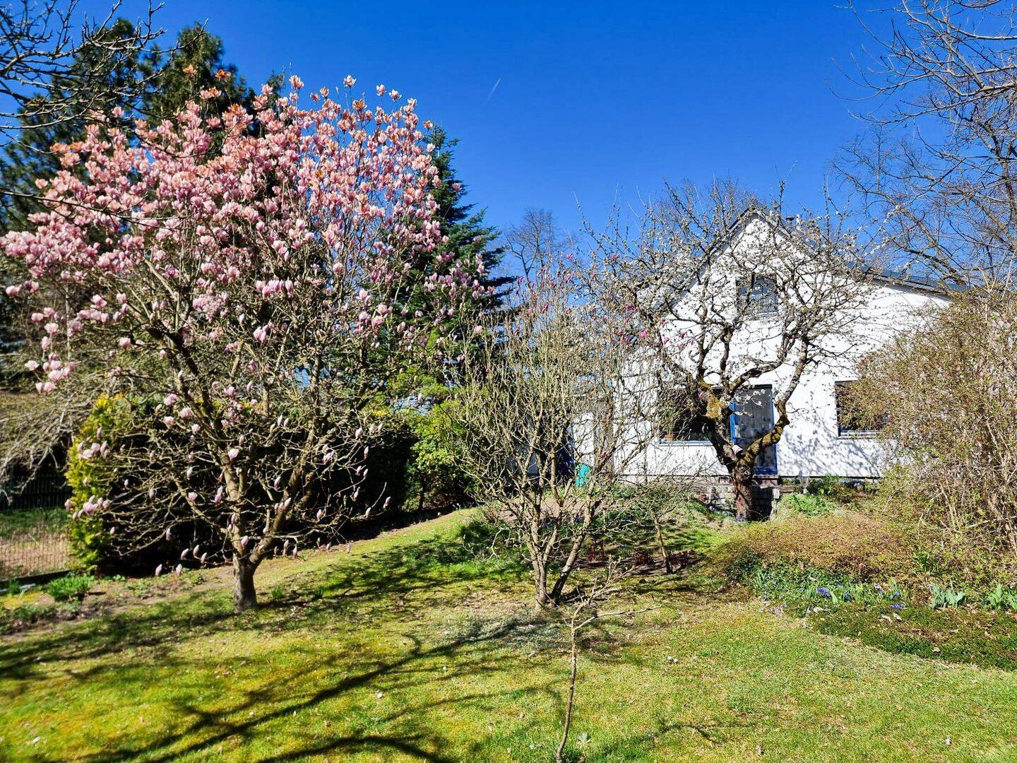 Kleines Haus mit großem Garten - mitten in Neuenhagen! – Neuenhagen bei Berlin – Vorschaubild 2
