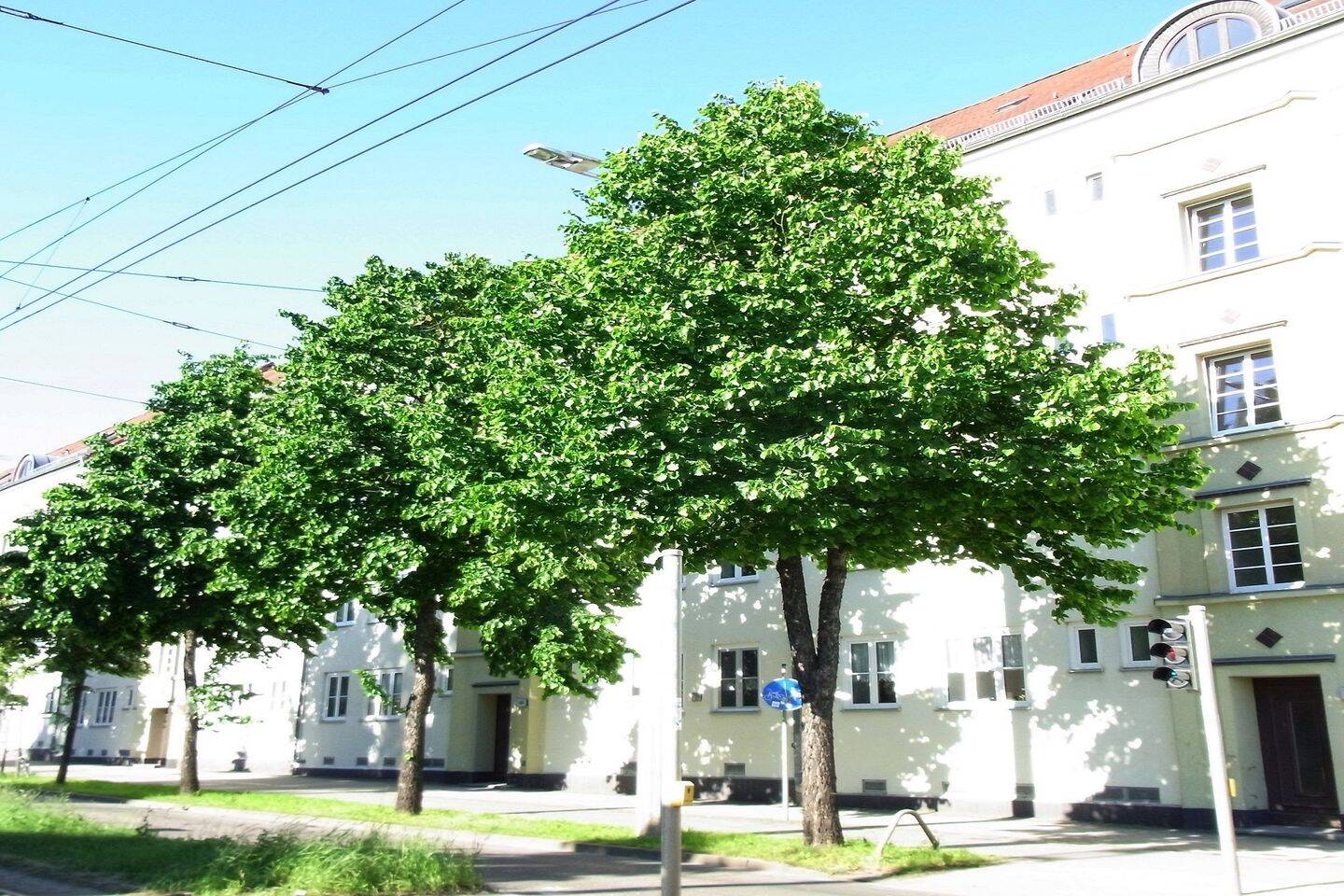 Eutritzsch - komplett neu sanierte & moderne Dachgeschoßwohnung mit Loggia in verkehrsgünstiger Lage – Leipzig – Vorschaubild 2