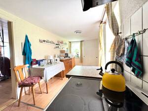 Älteres Wohnhaus mit antiken Eichentüren sucht neuen Eigentümer – 2730 Ebersbach-Neugersdorf – Vorschaubild 7