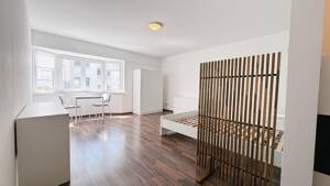 Möbliertes 1-Zimmer-Apartment - Darmstadt Innenstadt Bestlage – 64283 Darmstadt – Vorschaubild 7