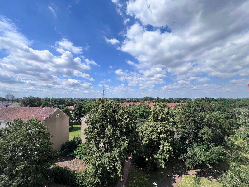 1- Zimmerwohnung mit Balkon - frisch modernisiert! – Hannover – Vorschaubild 5