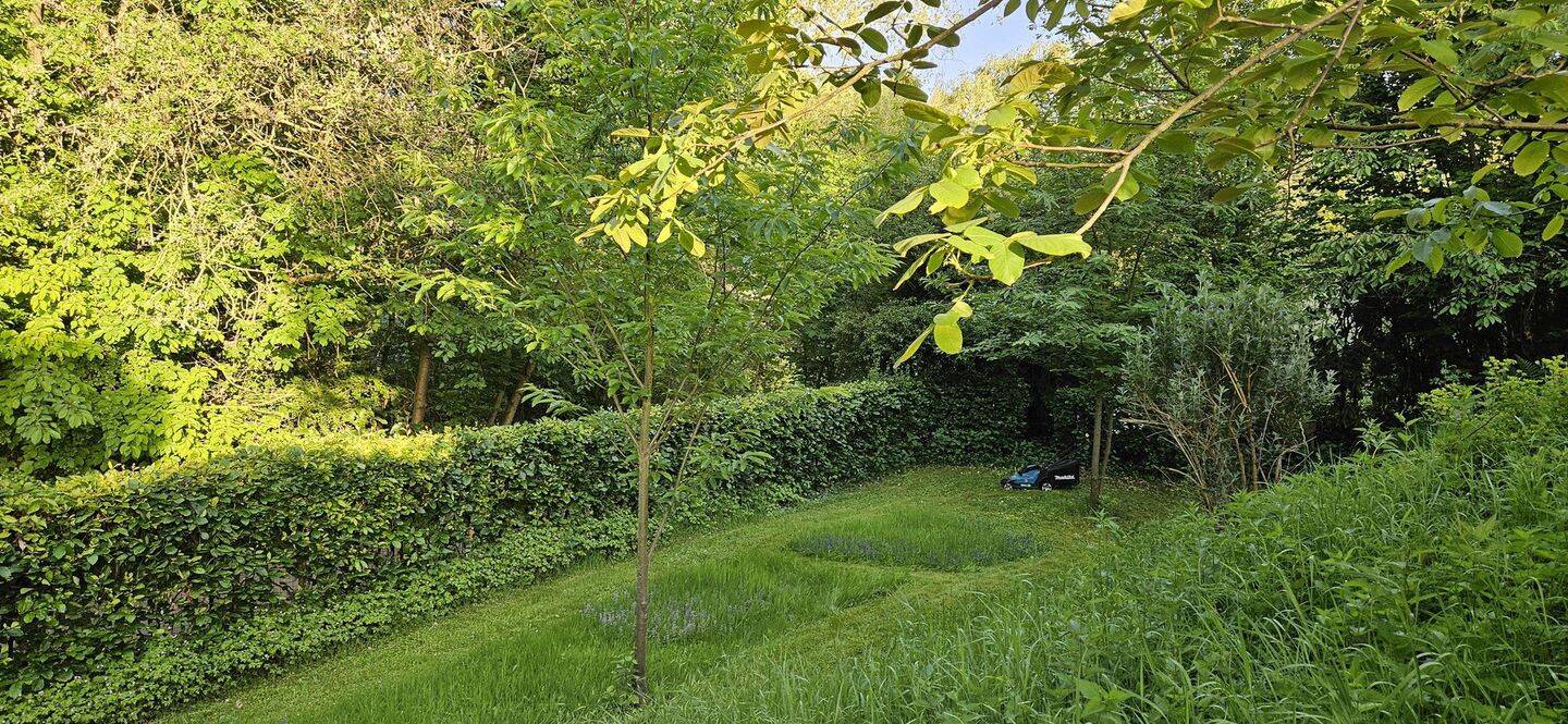 EFH / großer Hausteil mit EBK, Kamin, 2 Terrassen und traumhaftem Garten in direkter Seenähe ?? – Möhnesee – Vorschaubild 5