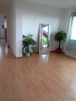 Gemütliche, helle 3 Zimmer Dachgeschoss Wonhnung mit Fernsicht – 79115 Freiburg im Breisgau – Vorschaubild 7