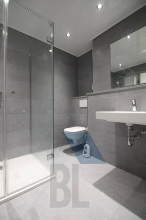 Wunderschöne,- renovierte Wohnung in ruhiger Lage – 68259 Mannheim – Vorschaubild 8