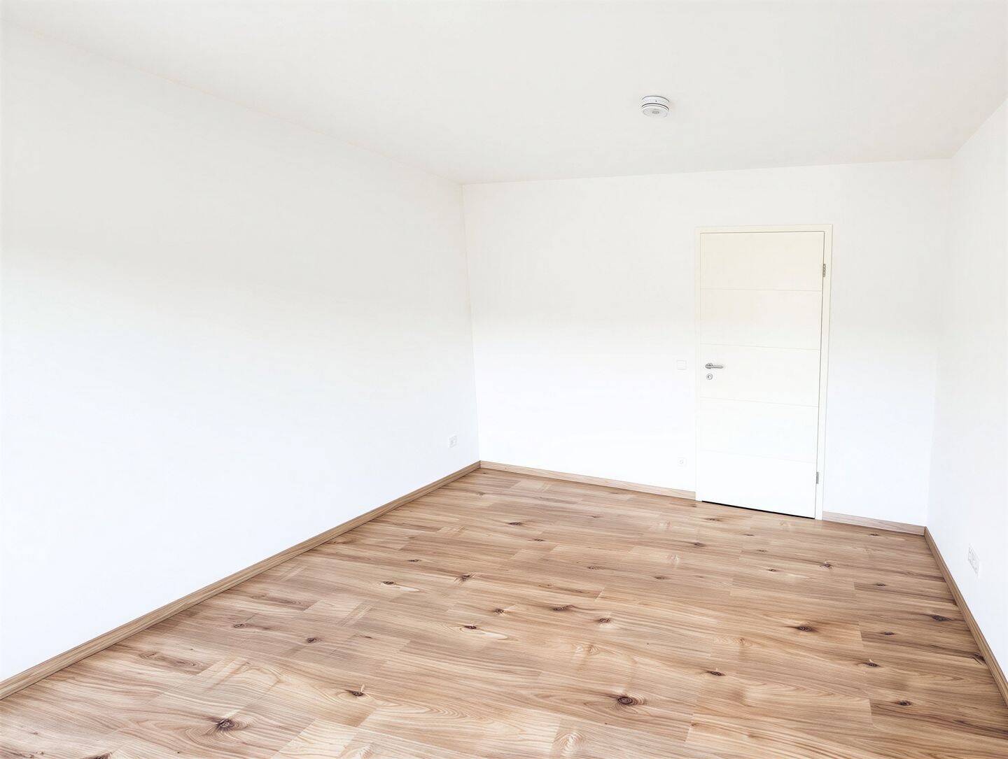 +++ Frisch modernisiert! 2-Zimmer-Wohnung mit halboffener Wohnküche im Herzen von Striesen +++ – Dresden – Vorschaubild 8