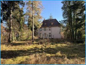DIPL.-Immowirt MAIER !! VILLA auf parkähnlichem Grundstück in ruhiger Lage - wartet auf Sanierung !! – 80686 München – Vorschaubild 3