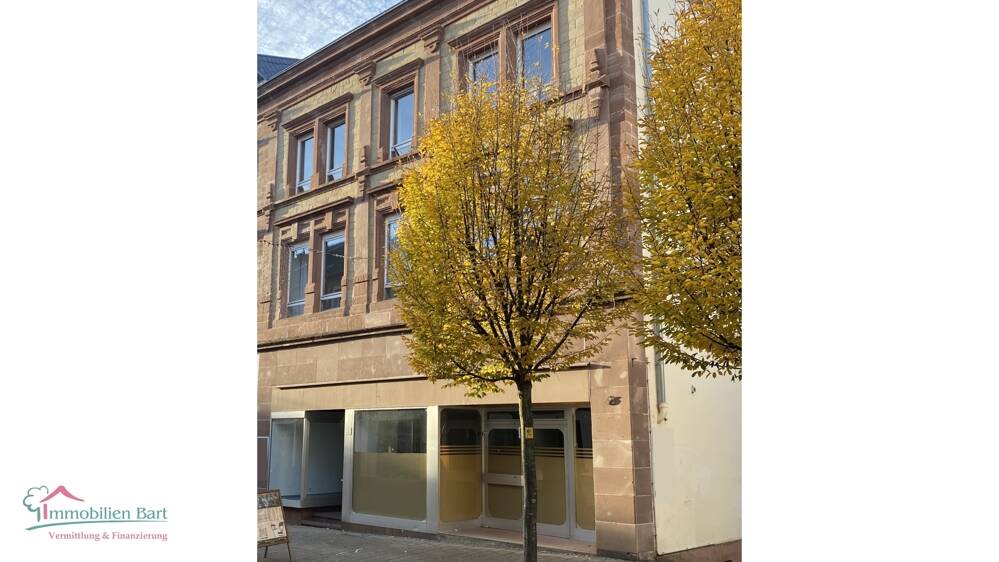 MERZIG: 627 M² WOHN-/ NUTZFLÄCHE, IMMOBILIE IN DER FUßGÄNGERZONE – Merzig – Vorschaubild 2
