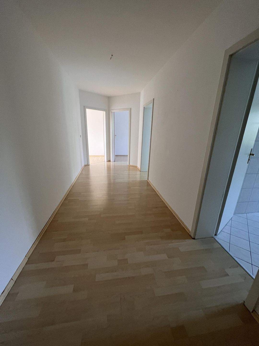 ruhige Seitenstraße, Tageslichtbad, große Küche – Chemnitz – Vorschaubild 5