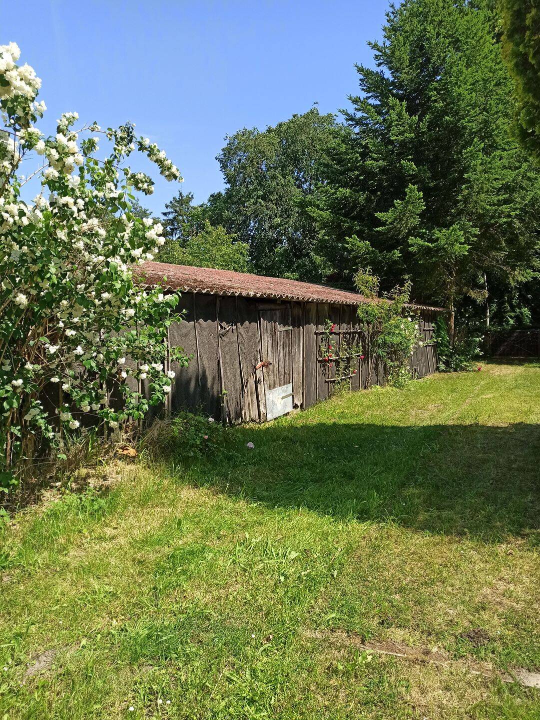 EINFAMILIENHAUS AUF GROSSEM GRUNDSTÜCK IN HOPPENRADE – Löwenberger Land – Vorschaubild 7