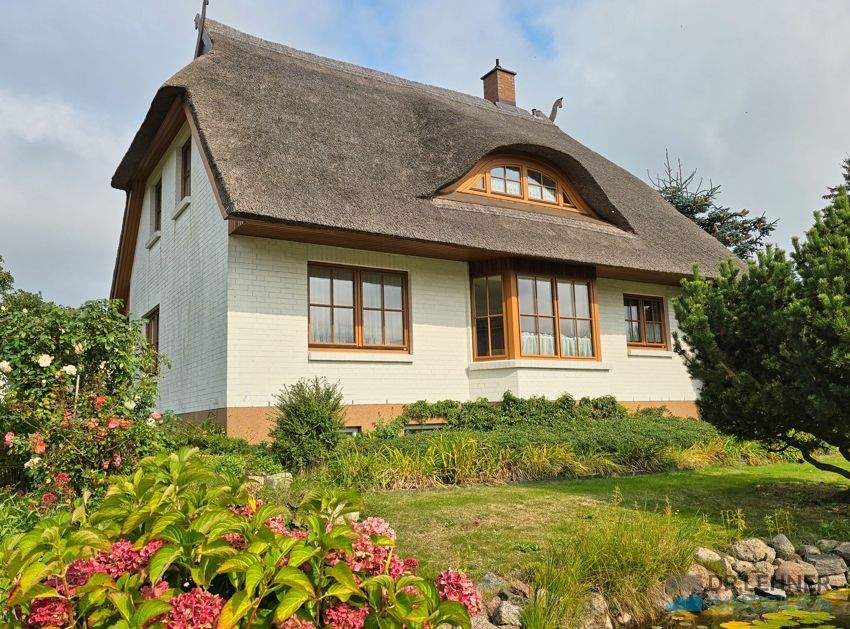 Dr. Lehner Immobilien NB - Modernes Reetdachhaus mit unverbautem Landschaftsblick – Bad Doberan – Bild 1 von 9