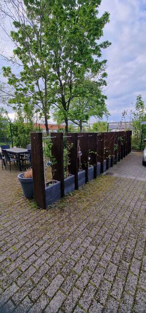 Seniorenwohnung in der Huttenstraße 57 – selbstbestimmt wohnen mit optionaler Betreuung – 6110 Halle (Saale) – Vorschaubild 5
